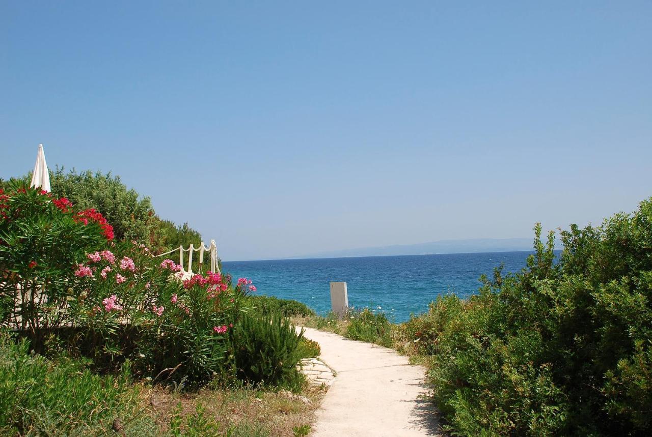 Dream View Dalmatia Apartment