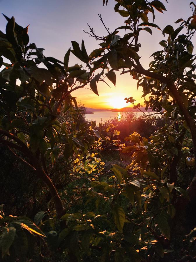 Dream View Dalmatia *
